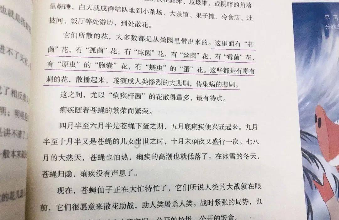 寂静森林找星星