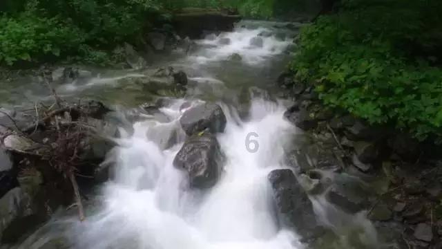 悲伤兔大冒险